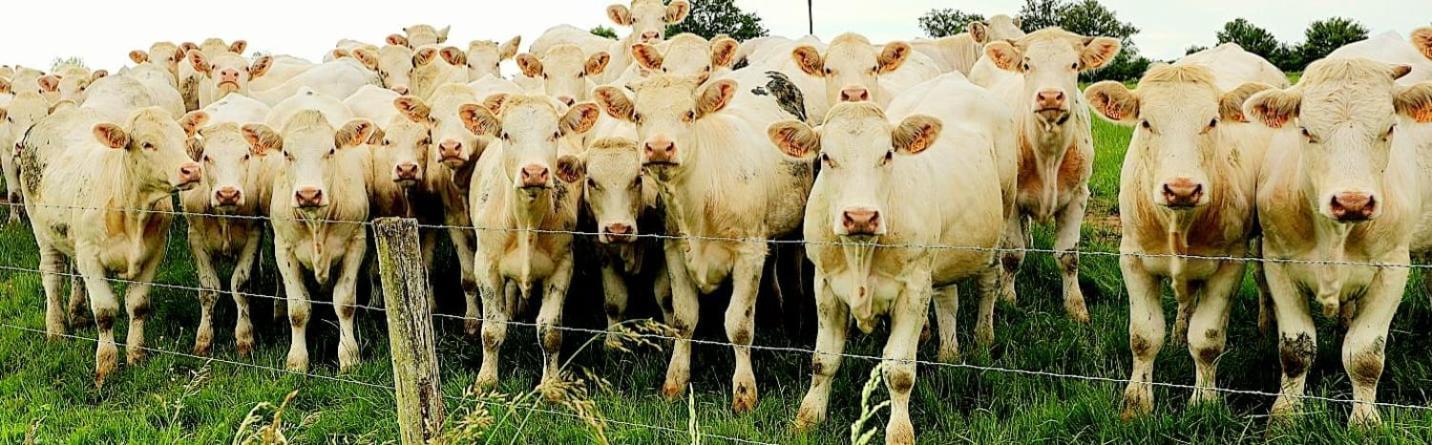La Vache Tennis Prive Crux-la-Ville Kültér fotó